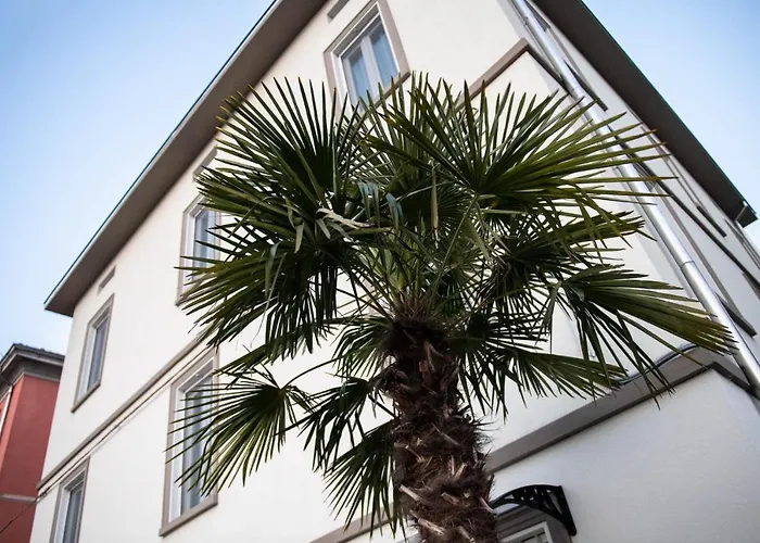 Le Palme 게스트하우스 4*